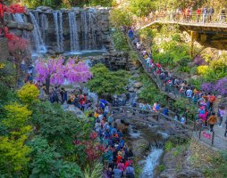 牛年春节广东共接待游客3964.3万人次 就地过年激发文旅新动能